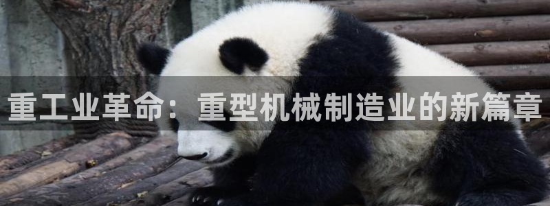 龙八国际手机版下载安卓