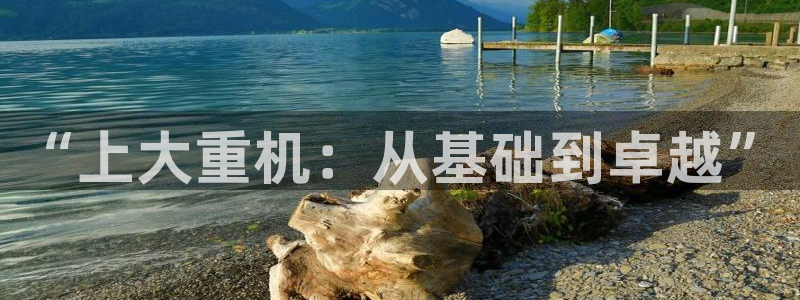 龙八国际官网首页网页版