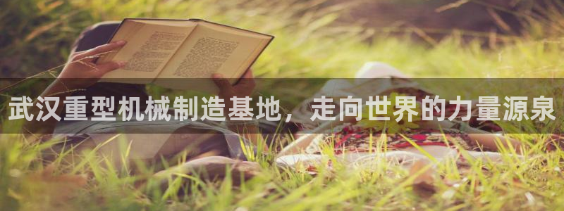 龙八国际手机游戏官网