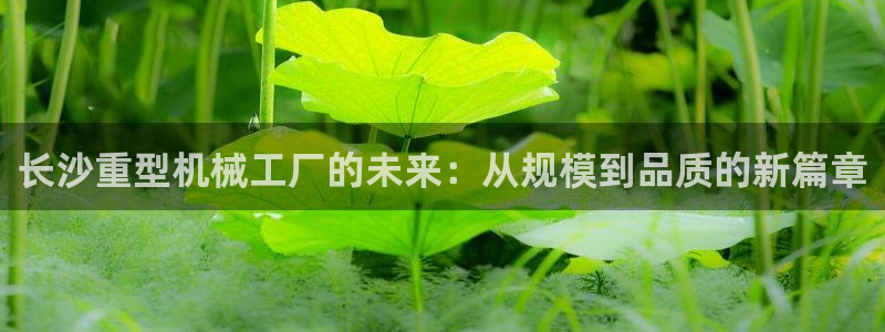 龙八国际app官方下载手机端