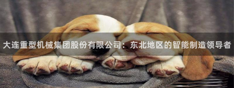 龙八国际下载链接安卓