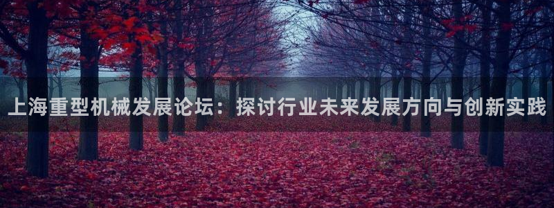 苹果怎么下载龙八国际